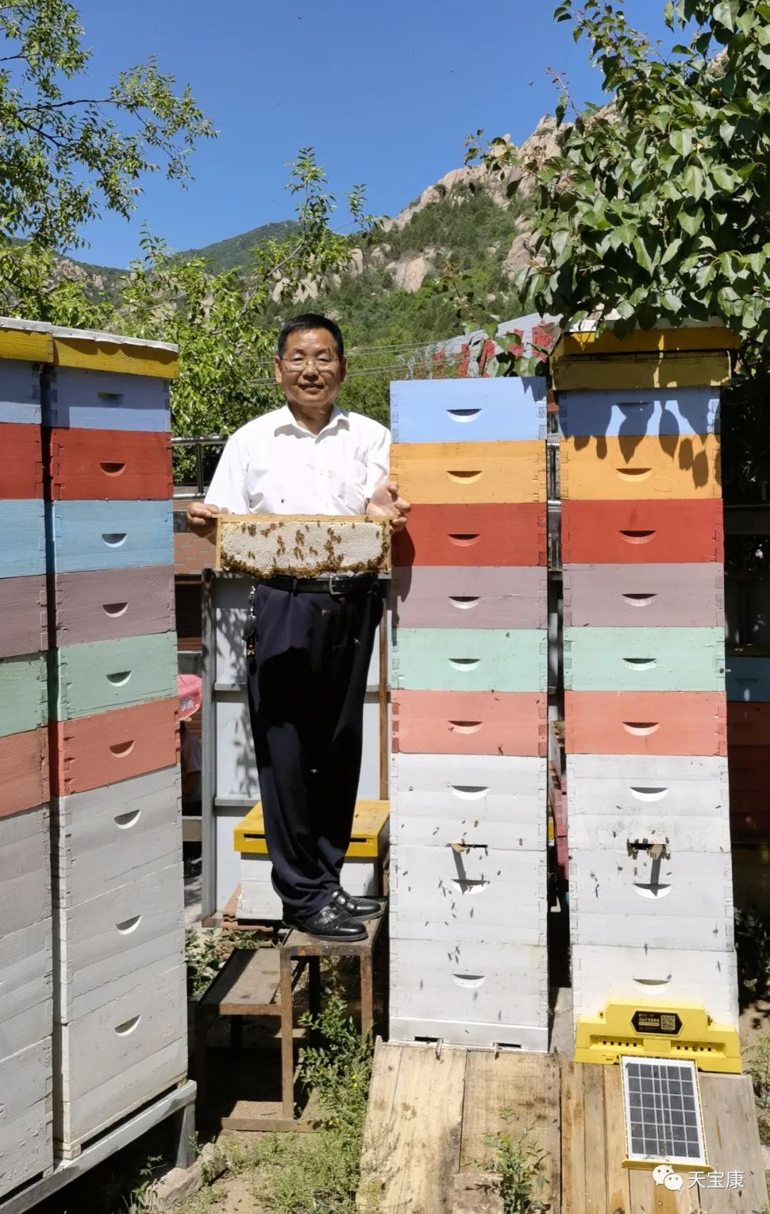 我国第一台强群多箱体“蜜蜂转地移动平台”问世—记刘富海和他的天宝康“蜜蜂舰”
