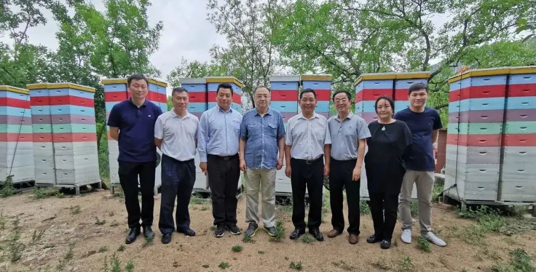美国绿色生态专家于怡然教授一行到访天宝康成熟蜂蜜示范基地 美国绿色生态专家于怡然教授一行到访天宝康成熟蜂蜜示范基地