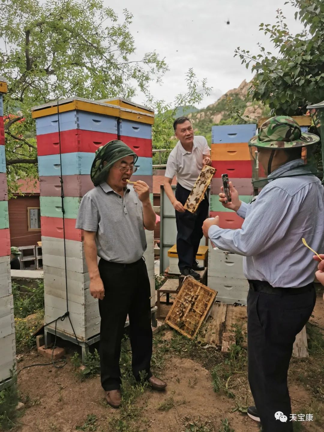 美国绿色生态专家于怡然教授一行到访天宝康成熟蜂蜜示范基地