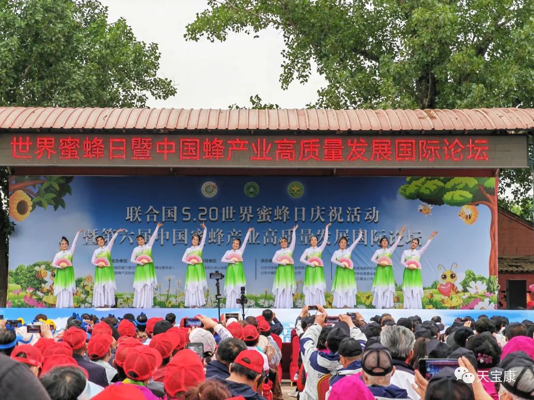 盛世蜜甜!京城掀起蜜蜂狂潮,共庆2023联合国世界蜜蜂日 盛世蜜甜!京城掀起蜜蜂狂潮,共庆2023联合国世界蜜蜂日