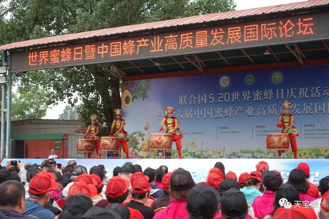 盛世蜜甜!京城掀起蜜蜂狂潮,共庆2023联合国世界蜜蜂日 盛世蜜甜!京城掀起蜜蜂狂潮,共庆2023联合国世界蜜蜂日