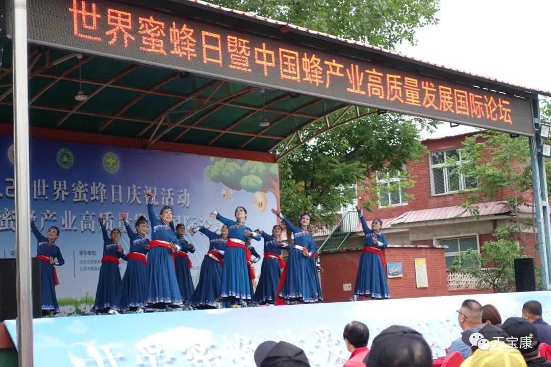 盛世蜜甜!京城掀起蜜蜂狂潮,共庆2023联合国世界蜜蜂日 盛世蜜甜!京城掀起蜜蜂狂潮,共庆2023联合国世界蜜蜂日