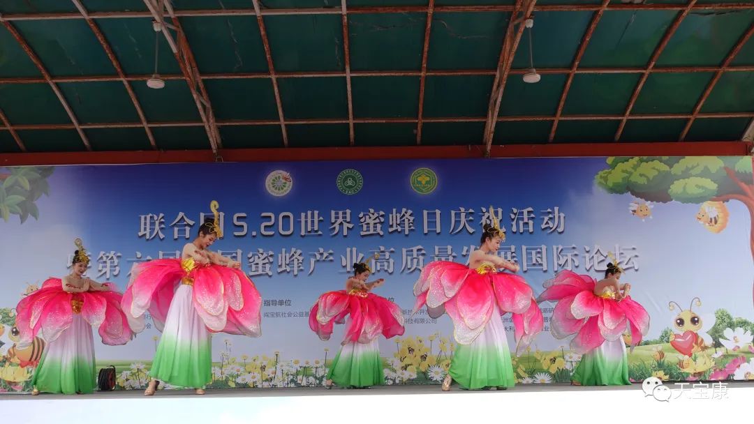 盛世蜜甜!京城掀起蜜蜂狂潮,共庆2023联合国世界蜜蜂日 盛世蜜甜!京城掀起蜜蜂狂潮,共庆2023联合国世界蜜蜂日