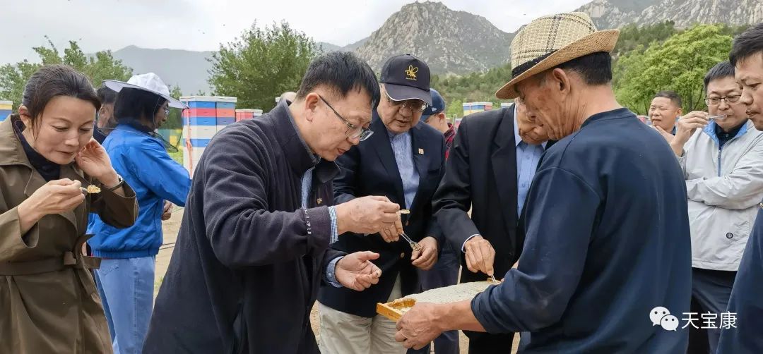 盛世蜜甜!京城掀起蜜蜂狂潮,共庆2023联合国世界蜜蜂日 盛世蜜甜!京城掀起蜜蜂狂潮,共庆2023联合国世界蜜蜂日