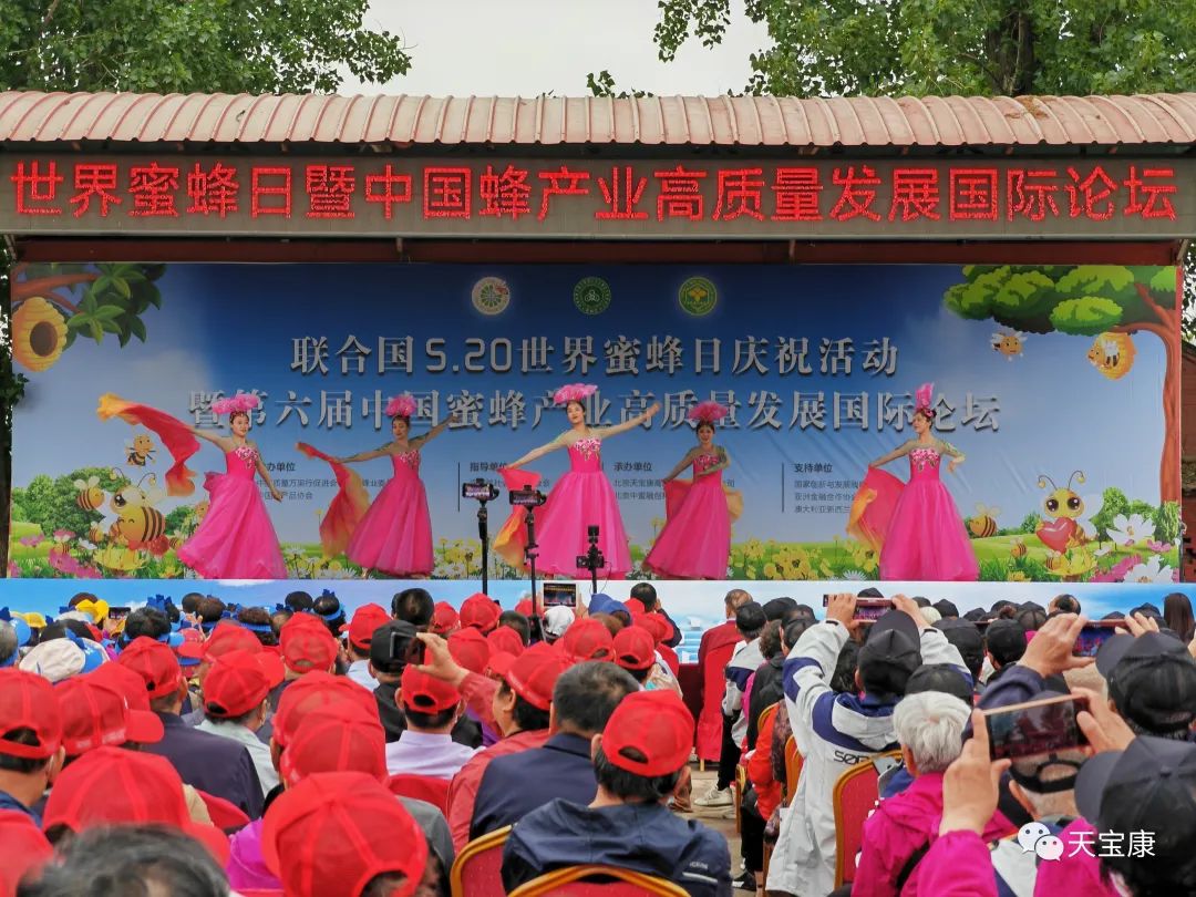 盛世蜜甜!京城掀起蜜蜂狂潮,共庆2023联合国世界蜜蜂日 盛世蜜甜!京城掀起蜜蜂狂潮,共庆2023联合国世界蜜蜂日