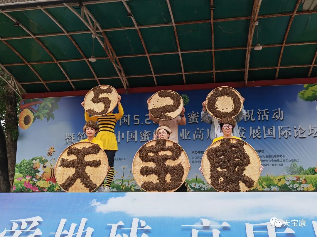 盛世蜜甜!京城掀起蜜蜂狂潮,共庆2023联合国世界蜜蜂日 盛世蜜甜!京城掀起蜜蜂狂潮,共庆2023联合国世界蜜蜂日